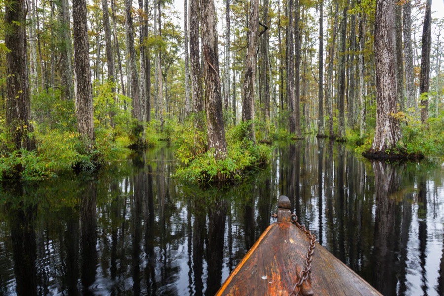 Cypress Gardens