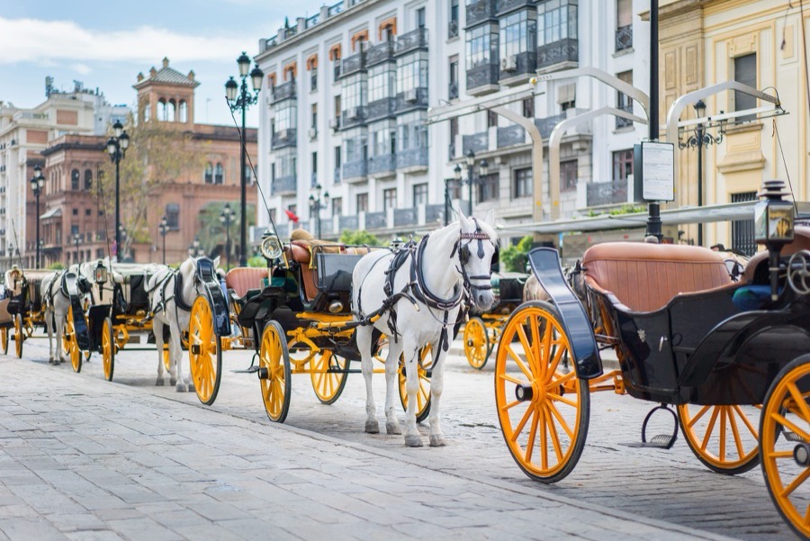 Horse-Drawn Carriage Tours